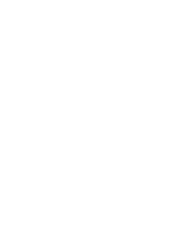 white bird facing on the left side